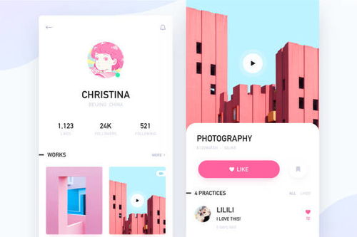 應用軟件開發費用詳解 從免費到高端的全面預算指南